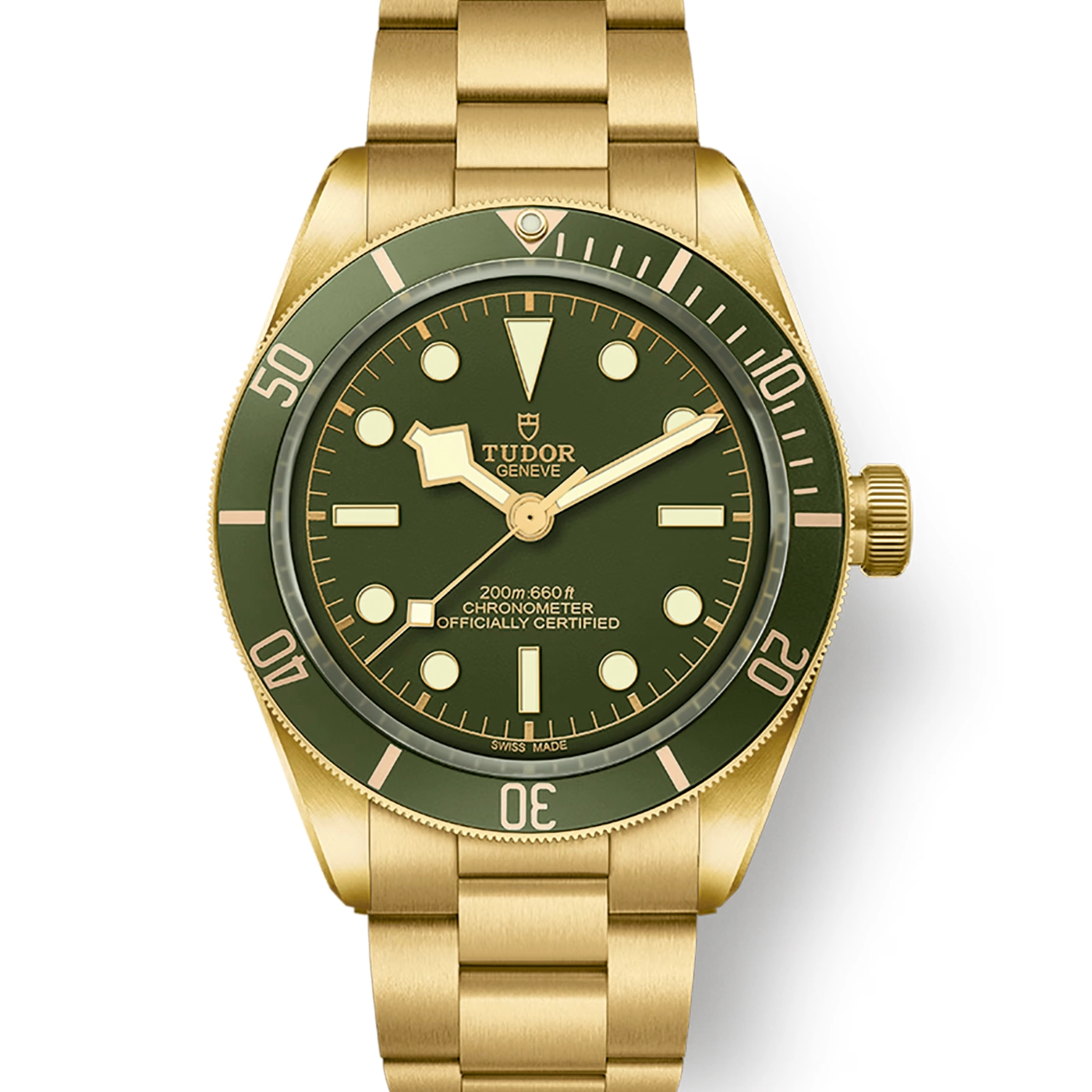 Tudor Black Bay